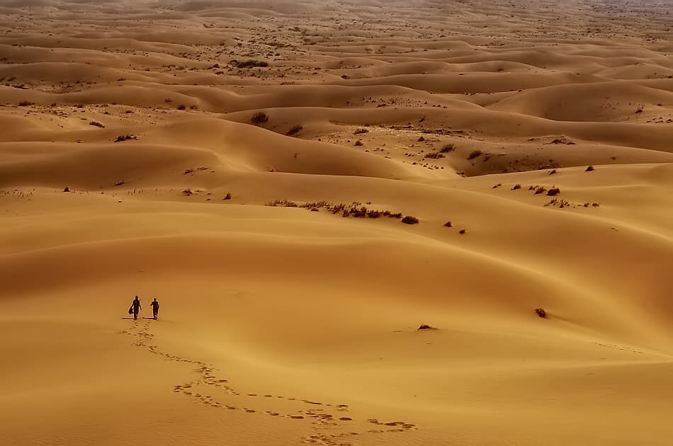 Golden Desert Journey by Arash Karimi — canvas wall art