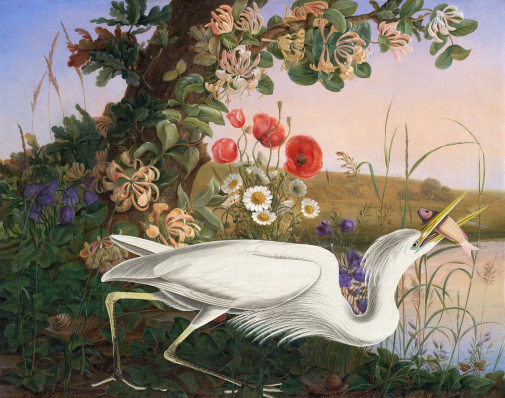 Egret's Pondside Feast by Marja van den Hurk — canvas wall art