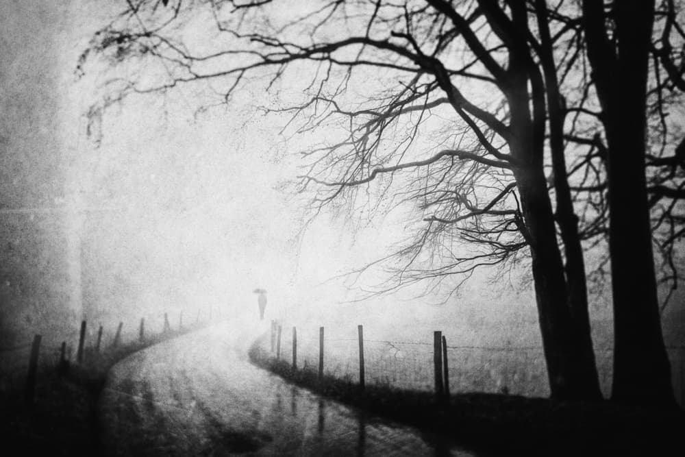 Lone Figure on Foggy Road by Adam Dauria ☂ — canvas wall art