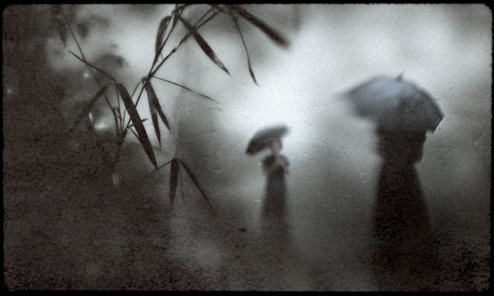 Misty Bamboo Walk by Teruhiko Tsuchida — canvas wall art