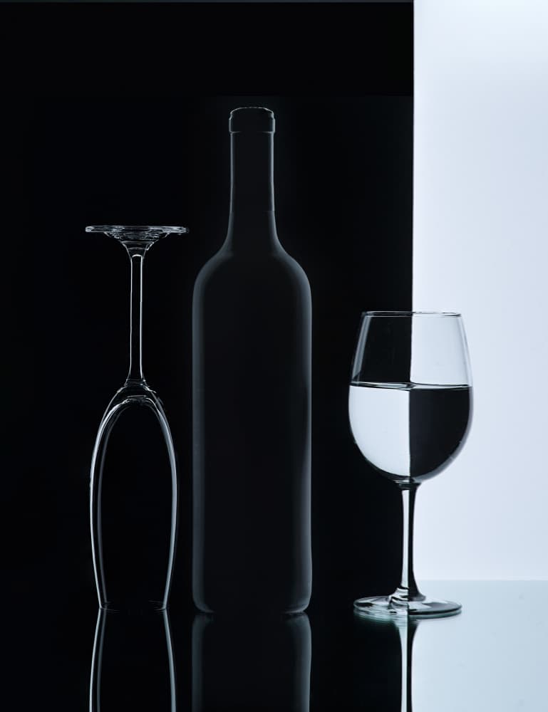 Elegant Wine Contrast by Alice Sheng — canvas wall art