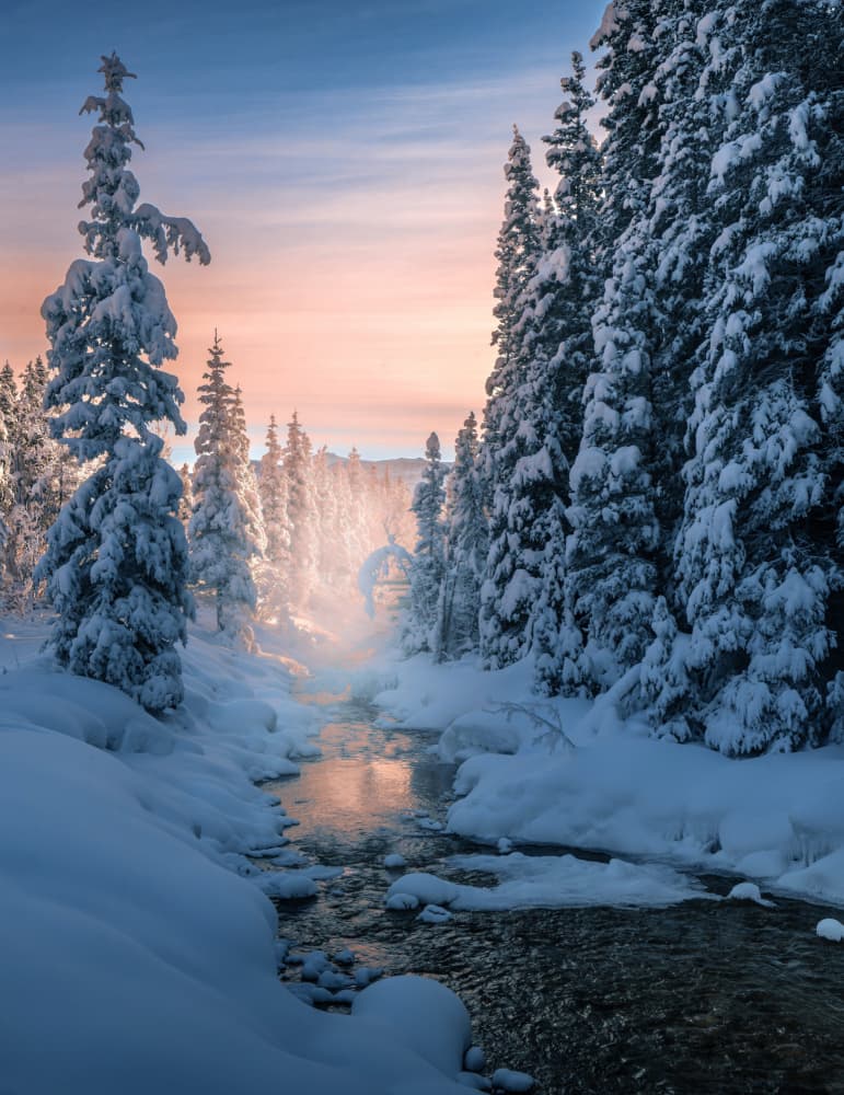 Glowing Forest Stream by Bing Li — canvas wall art