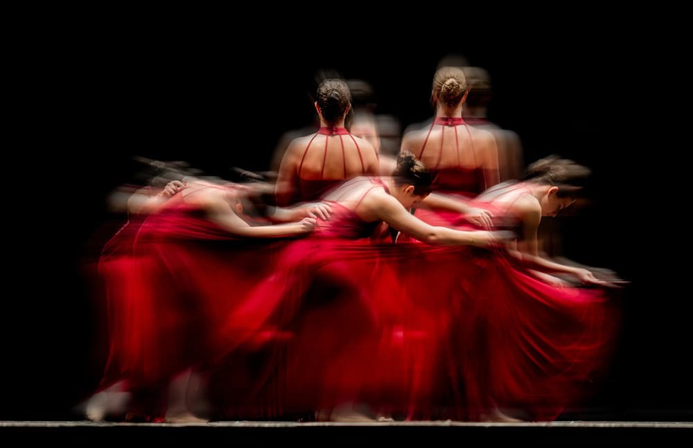 Graceful Motion Dance by Carlos Gonzalez — canvas wall art