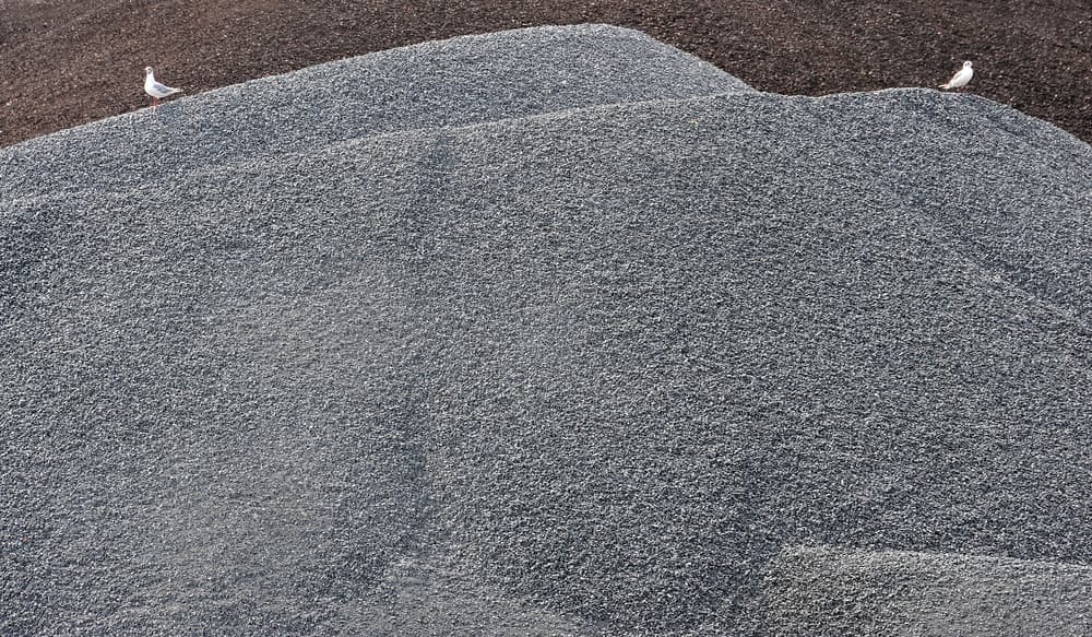 Gravel and Gulls by Huib Limberg — canvas wall art