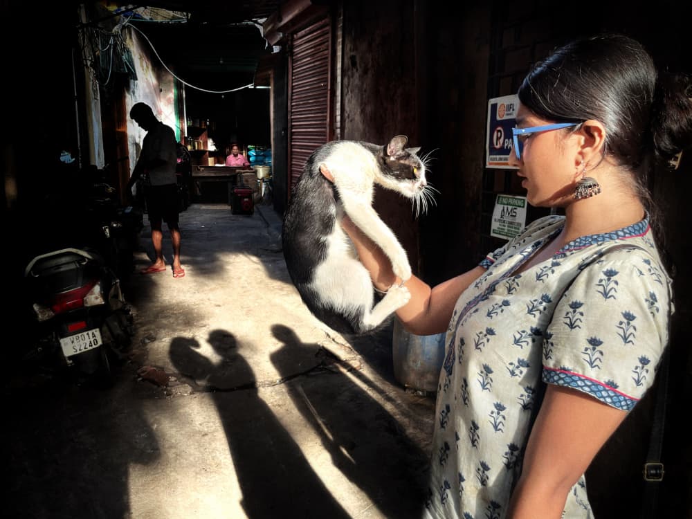 Woman with Cat Alley by Kuntal Biswas — canvas wall art