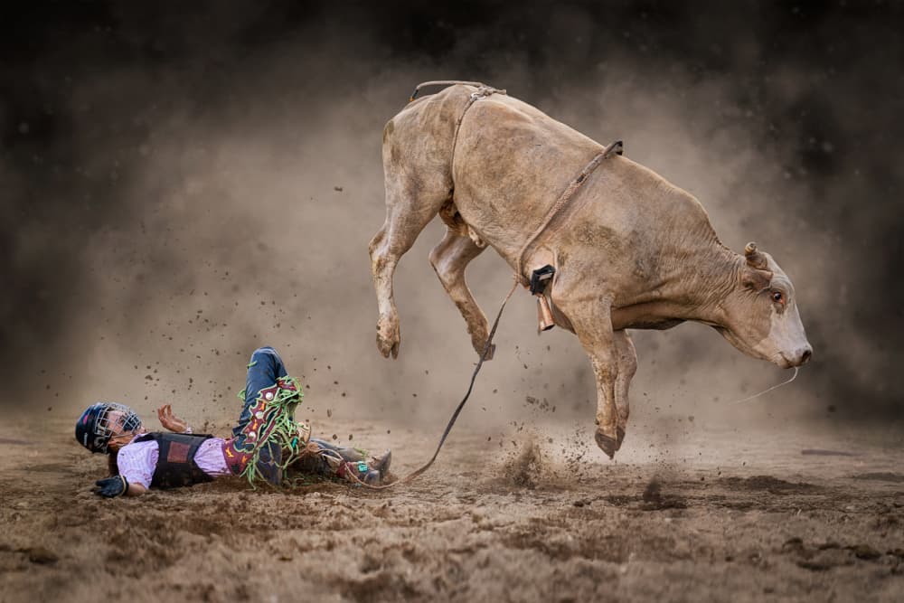 Bucking Bull and Rider by Lydia Jacobs — canvas wall art