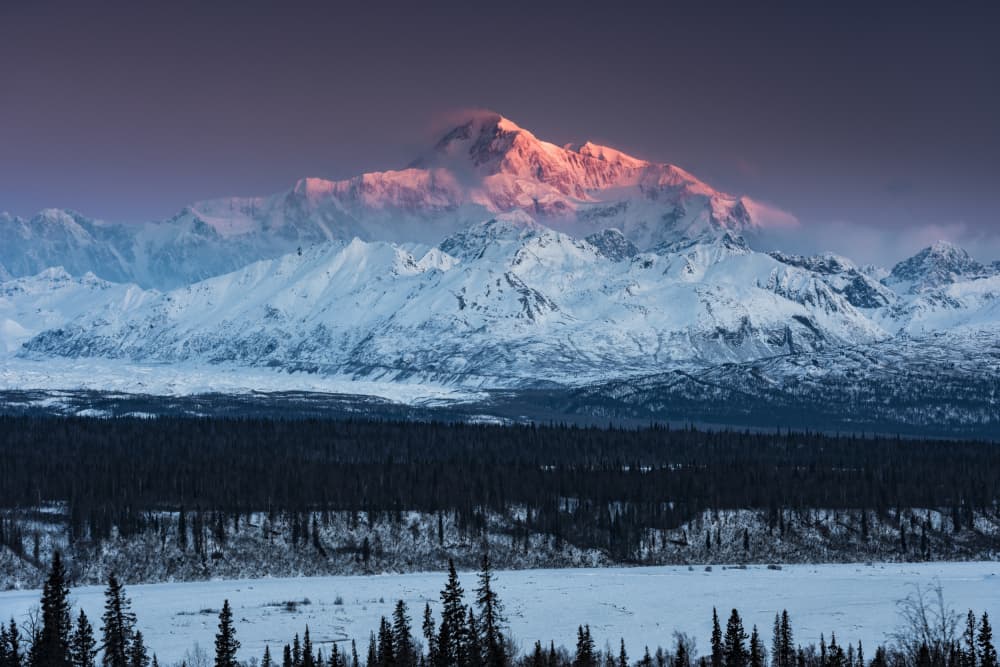 Mount Denali by Stefan Hefele — canvas wall art