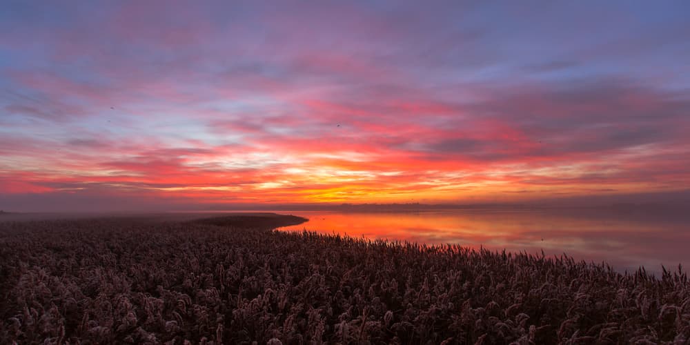 Fiery Marshland Dawn by Leif Løndal — canvas wall art