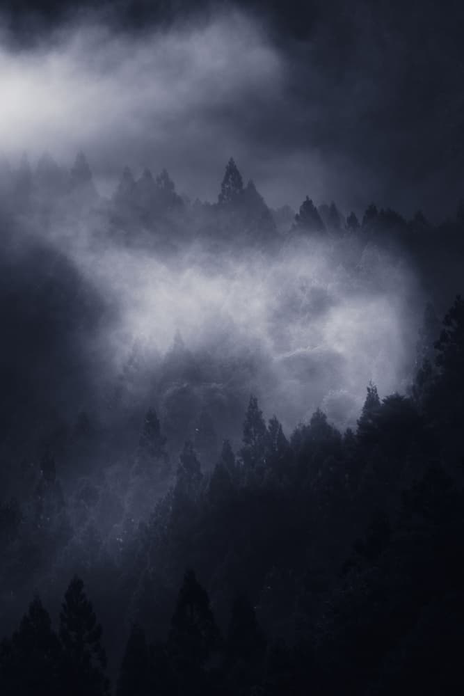 Ethereal Forest Mist by 市岡弘光 — canvas wall art