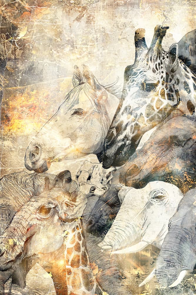 Safari Animal Blend by Rafal Kulik — canvas wall art
