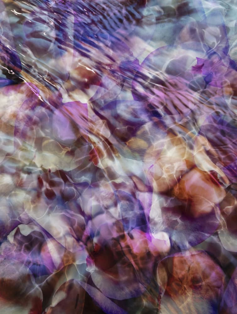 Fluid Purple Reflections by Angelo Cerantola — canvas wall art