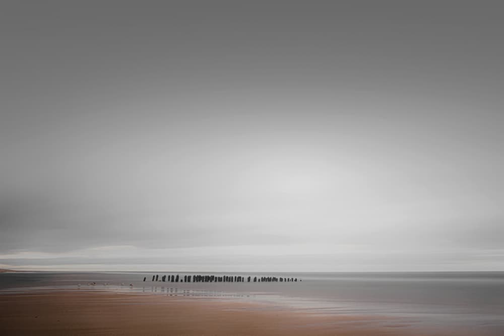 Tranquil Beach Posts by Rolf Endermann — canvas wall art