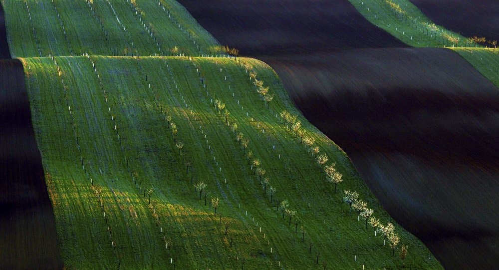 Rolling Green Field Patterns by Milan Uhrin AFIAP AZSF — canvas wall art