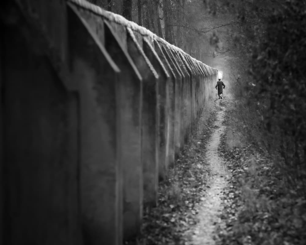 Path to Light by Andy Dauer — canvas wall art