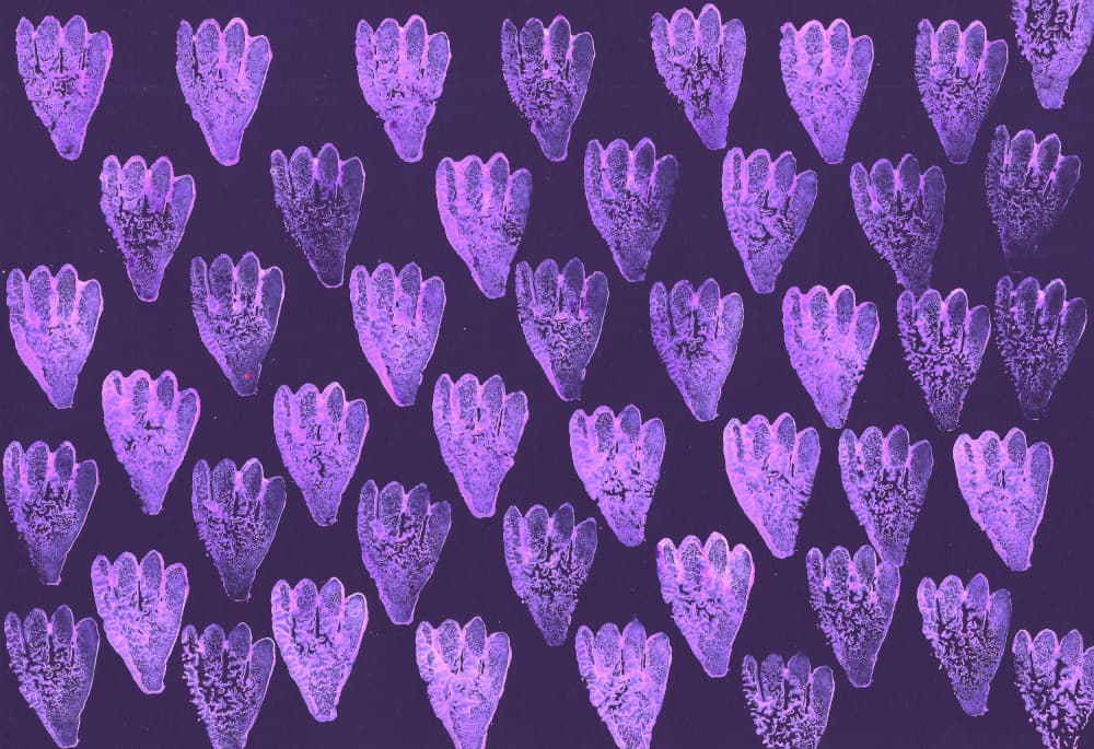 Violet Organic Pattern by Santhosh ch — canvas wall art