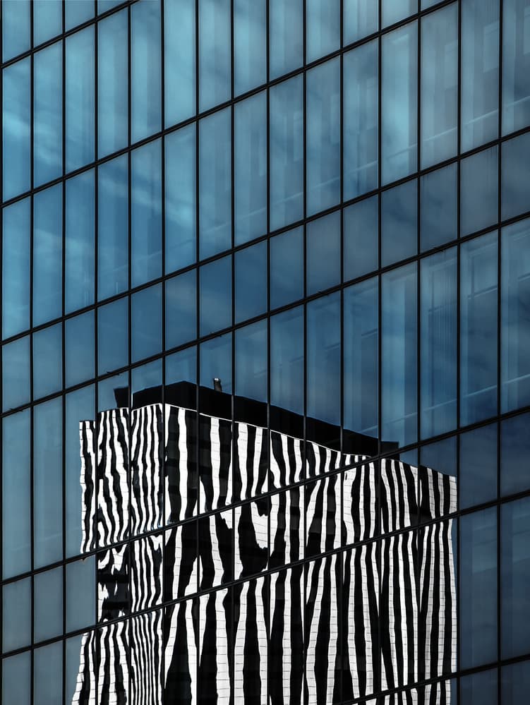 Reflected Zebra Building by Gilbert Claes — canvas wall art