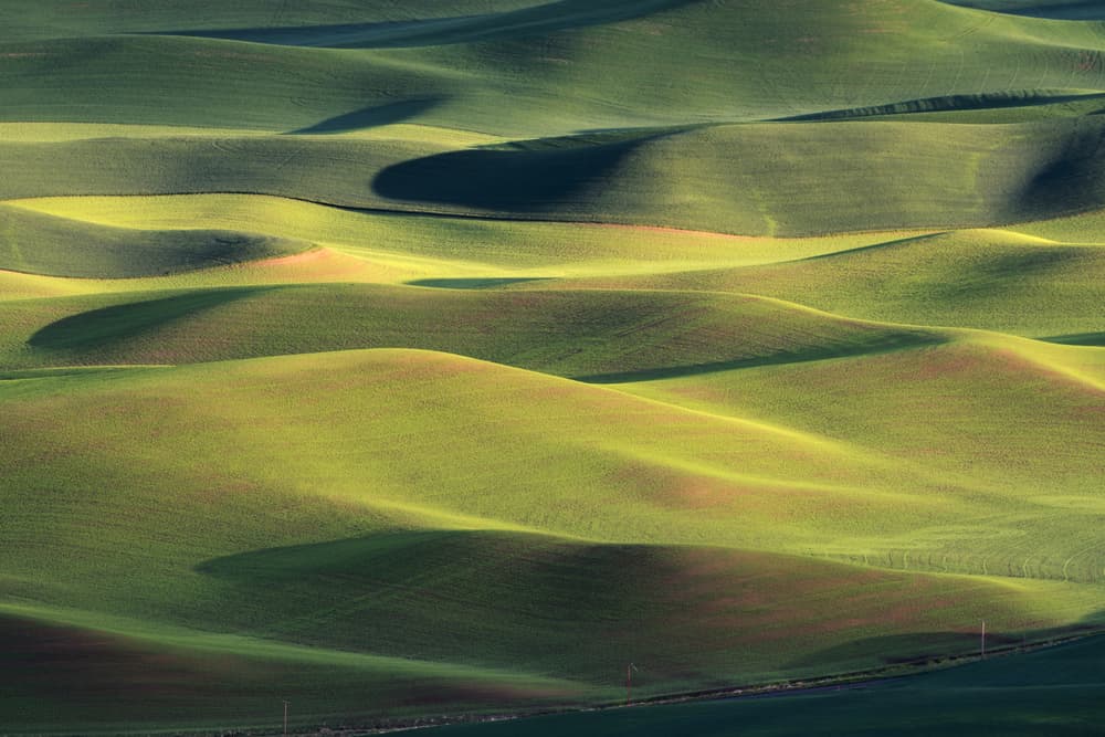 Flowing Green Hills by 李从军 / Austin Li — canvas wall art