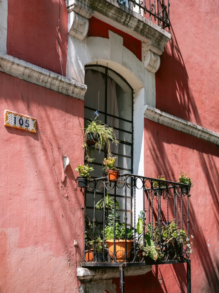 Mexico City Window by Raisa Zwart — canvas wall art