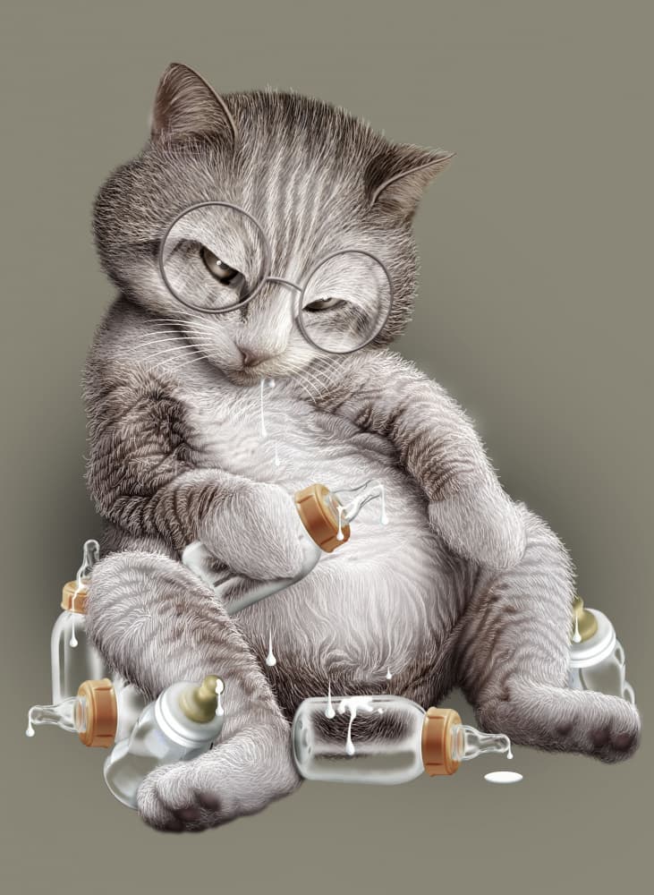 Milk Drunk Kitten by Adam Lawless — canvas wall art
