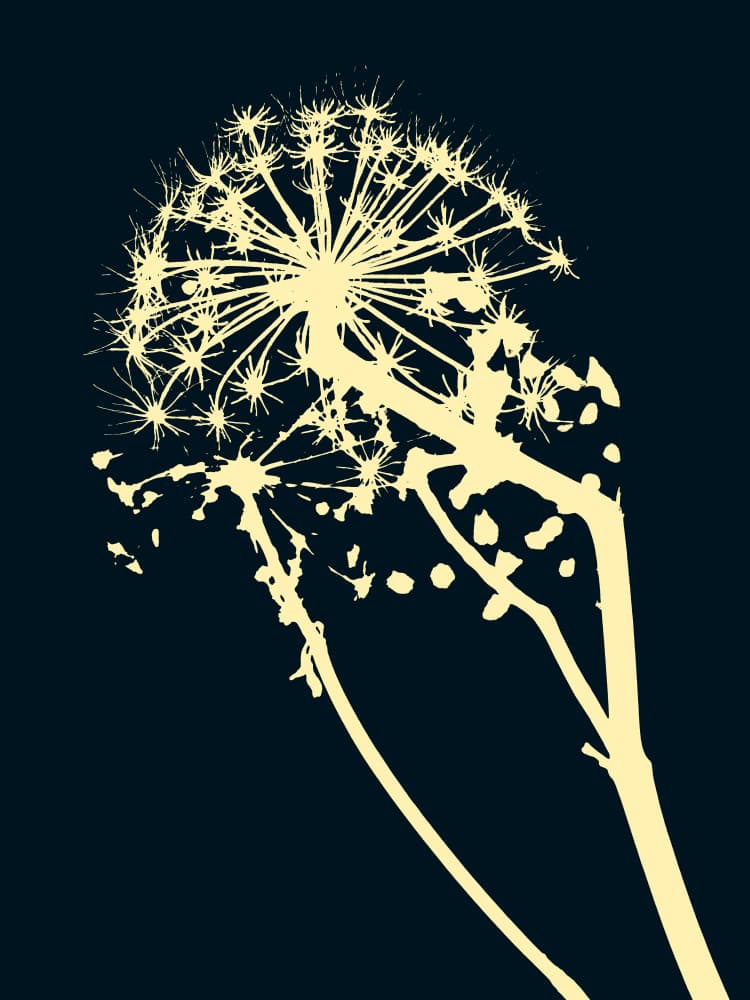 Dark Floral Silhouette by Petr Strnad — canvas wall art