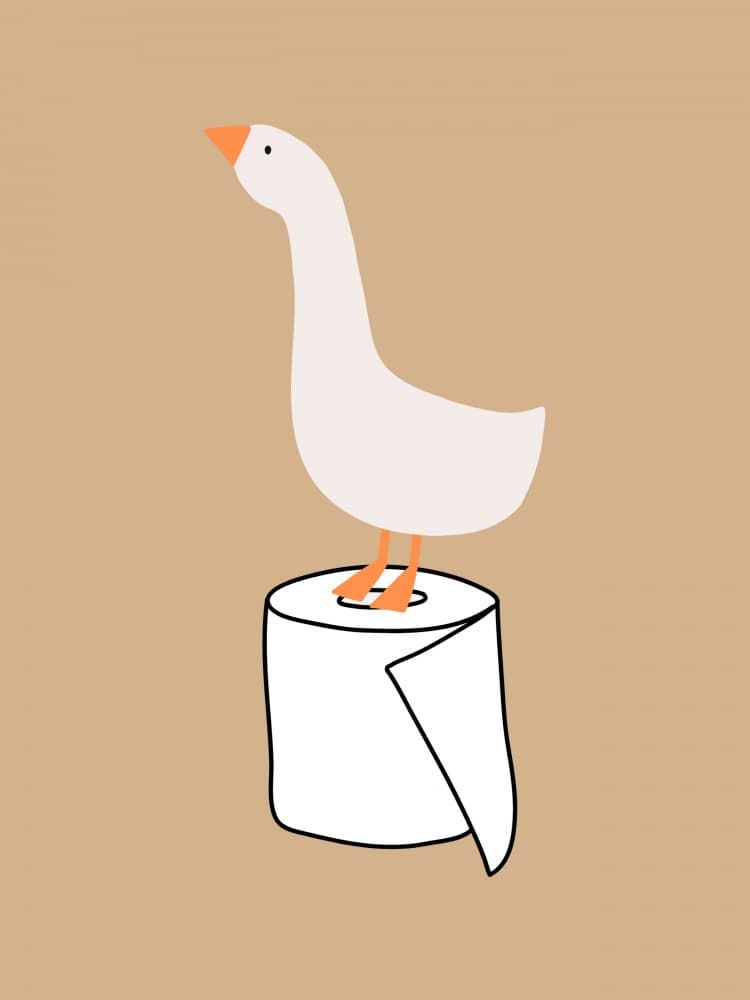 Funny Goose Toilet Roll by Jolly and Dash — canvas wall art