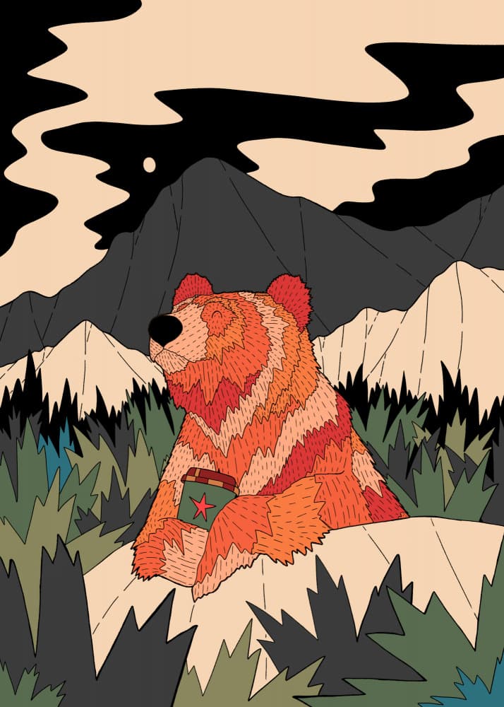 Cozy Bear Night by Stephen Wade — canvas wall art