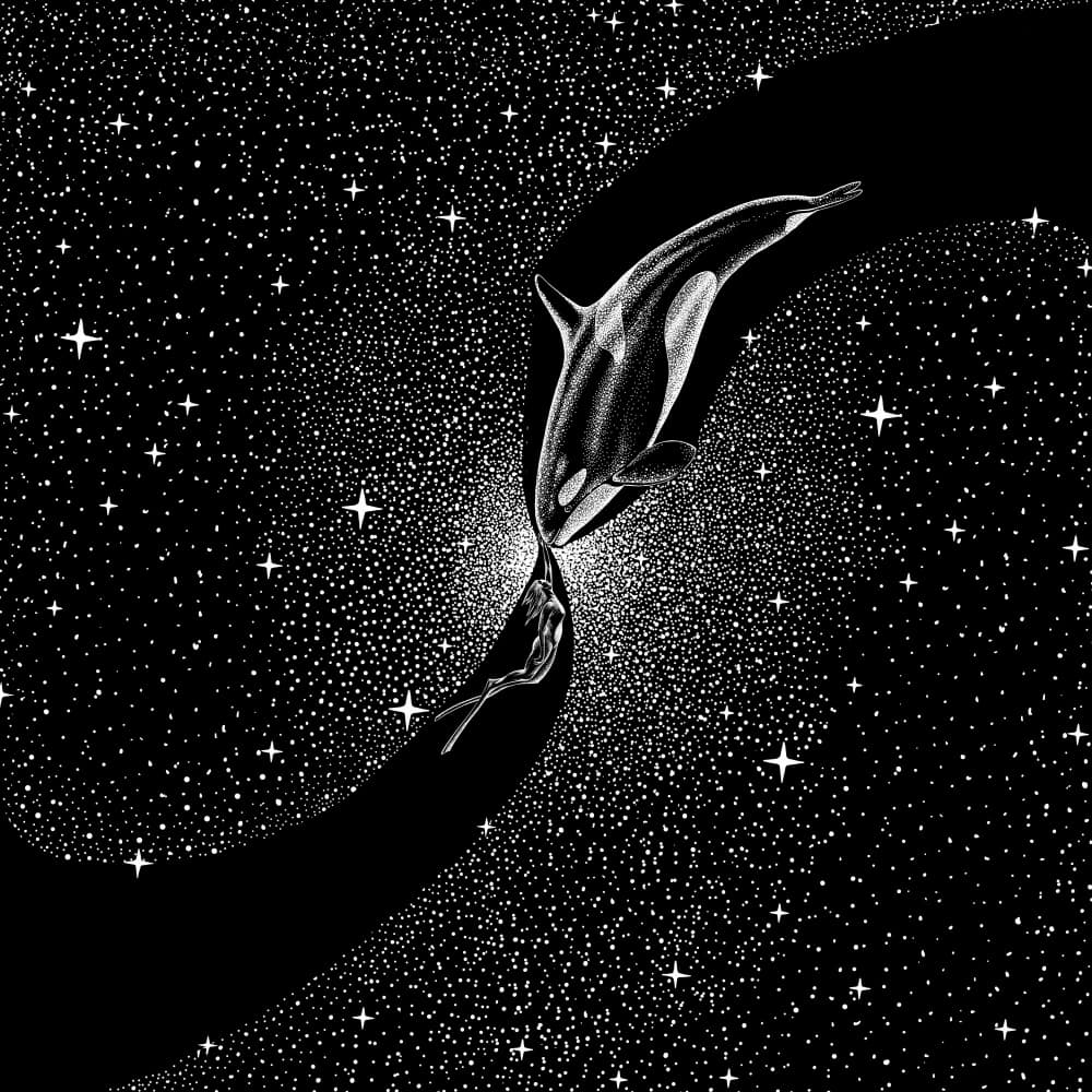 Cosmic Orca Encounter by Alirıza ÇAKIR — canvas wall art