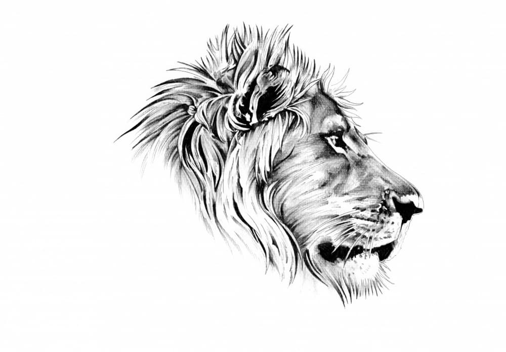Majestic Lion Profile by Kulik — canvas wall art