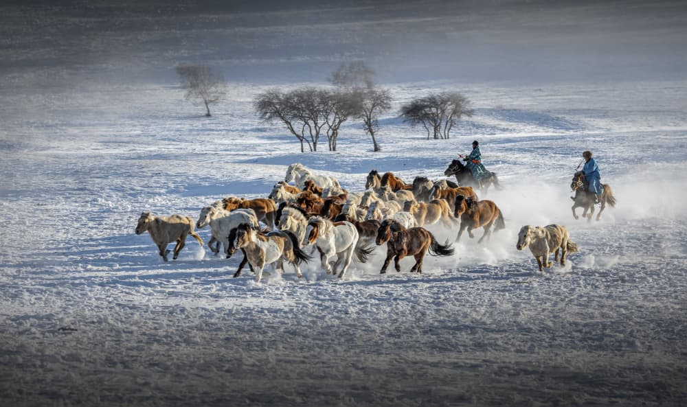 Wild Horses Galloping Snow by Irene Wu — canvas wall art