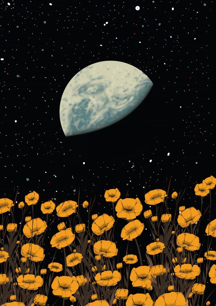 Moonlit Poppy Field by Nicholas — canvas wall art