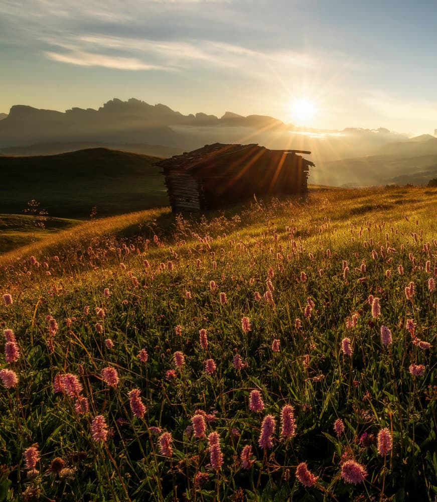 Golden Hour Mountain Meadow by Ales Krivec — canvas wall art