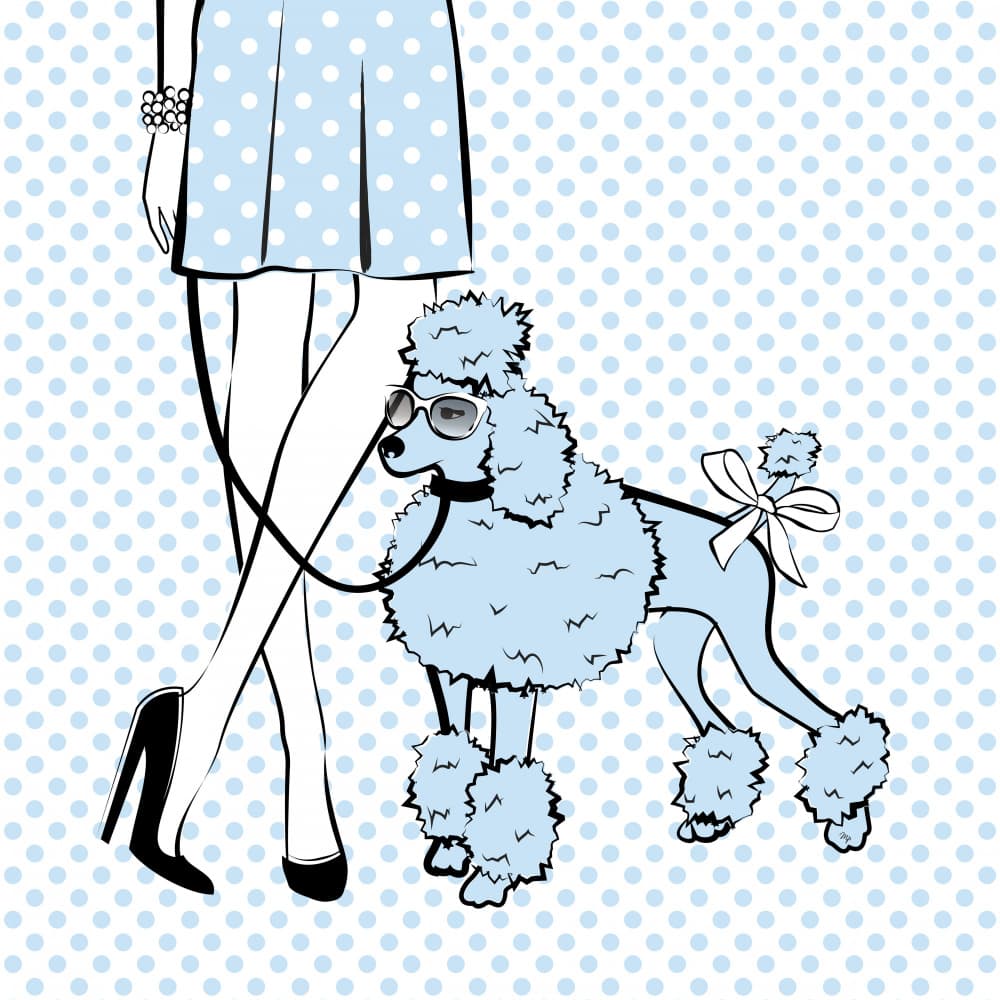 Chic Poodle Stroll by Martina — canvas wall art