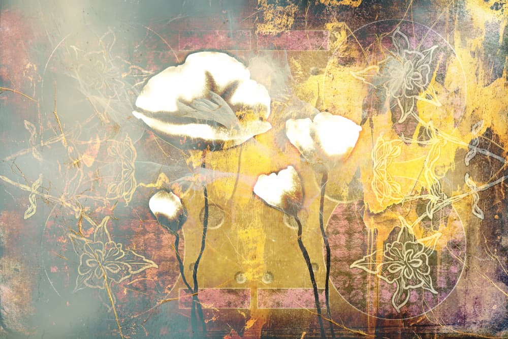 Golden Poppies Dream by Rafal Kulik — canvas wall art