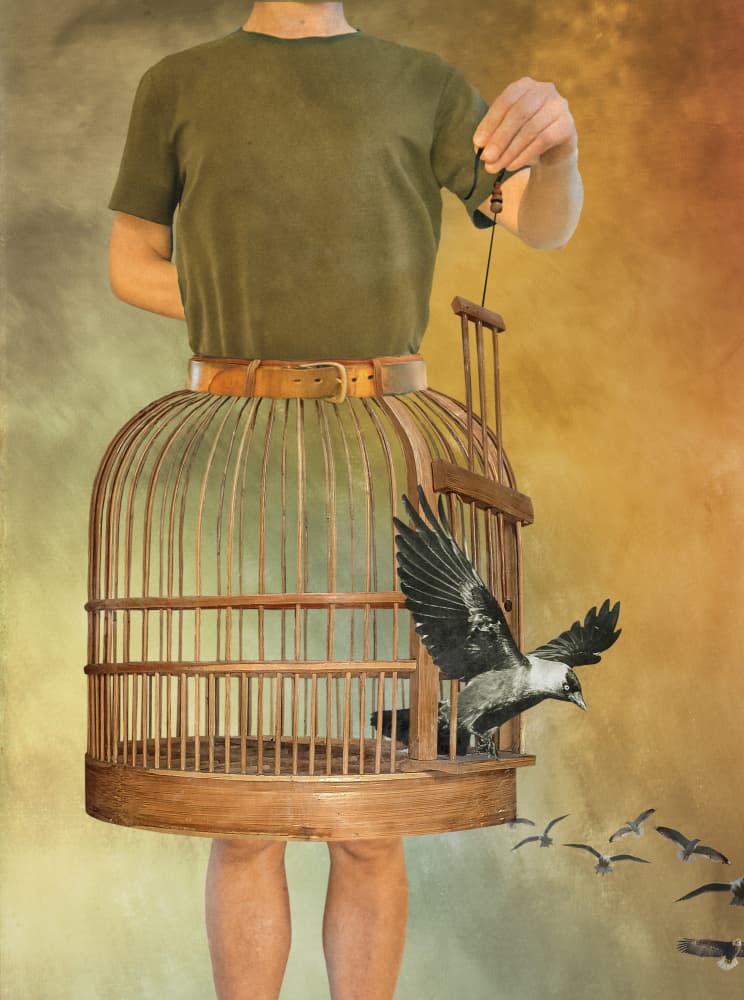 Freedom Takes Flight by Biao Huang — canvas wall art