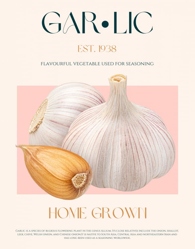Fresh Garlic Bulbs by Nazma Khokhar — canvas wall art