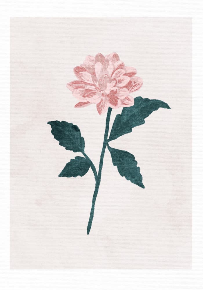 Dahlia by Goed Blauw — canvas wall art