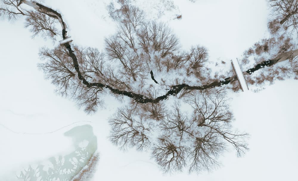 Winding Winter River Scene by Wei (David) Dai — canvas wall art
