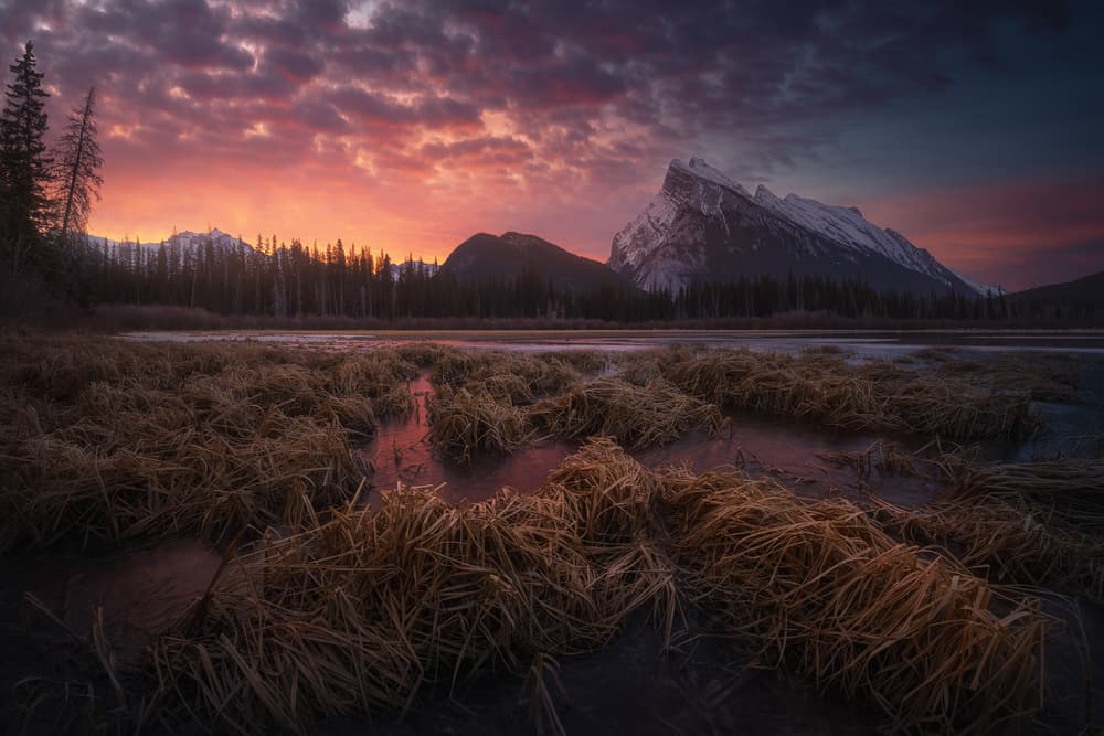 Mount Rundle Golden Sunset by Carlos F. Turienzo — canvas wall art