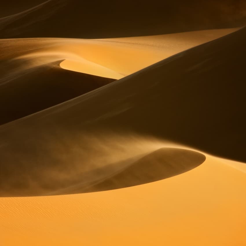 Golden Desert Dunes by Raymond Hoffmann — canvas wall art