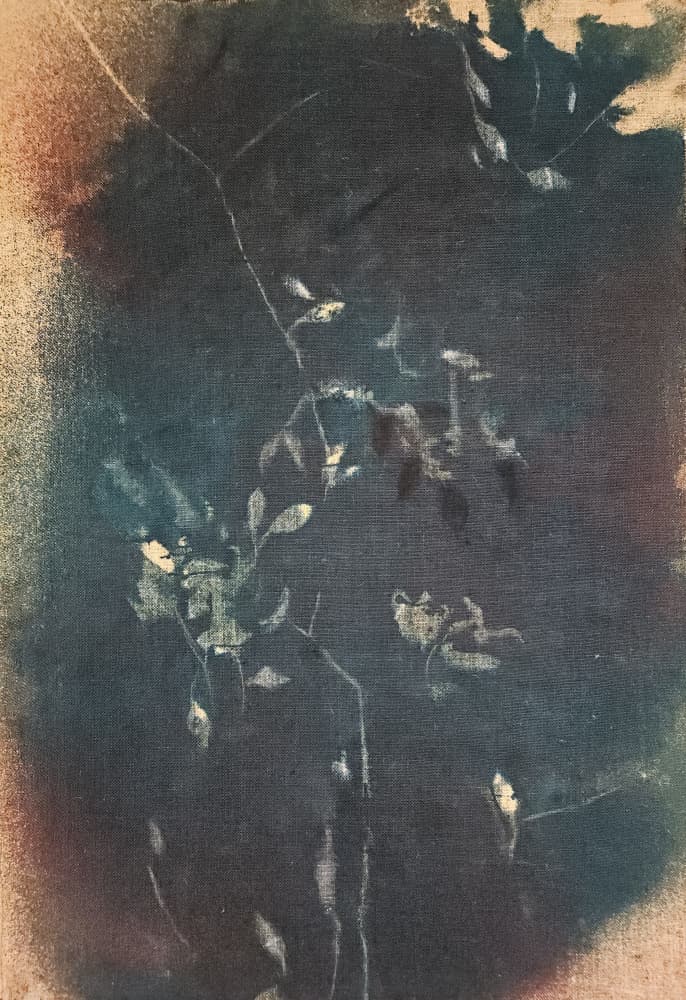 Dark Blue Botanicals by Stefano Mazzolini — canvas wall art