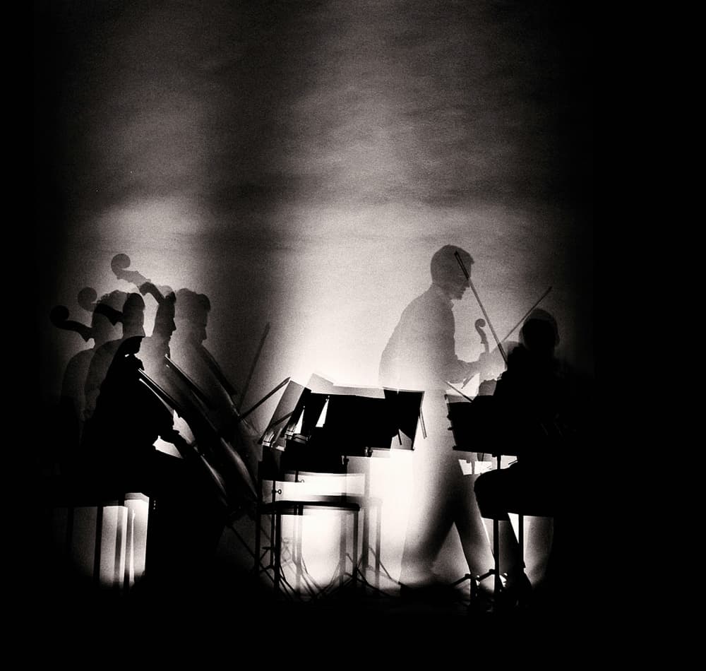 Dramatic Music Performance by Mirela Momanu — canvas wall art