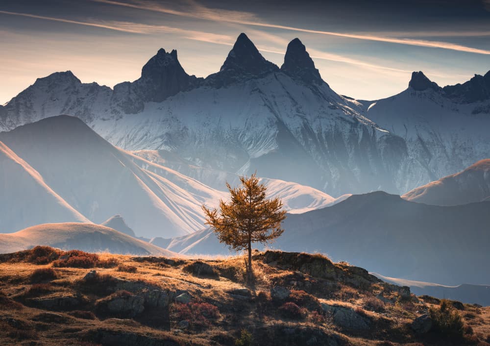 Golden Tree Mountain Vista by Karol Nienartowicz — canvas wall art