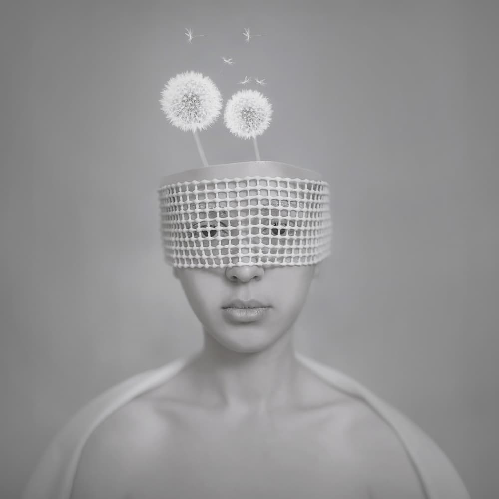 Dandelion Visions by hardibudi — canvas wall art