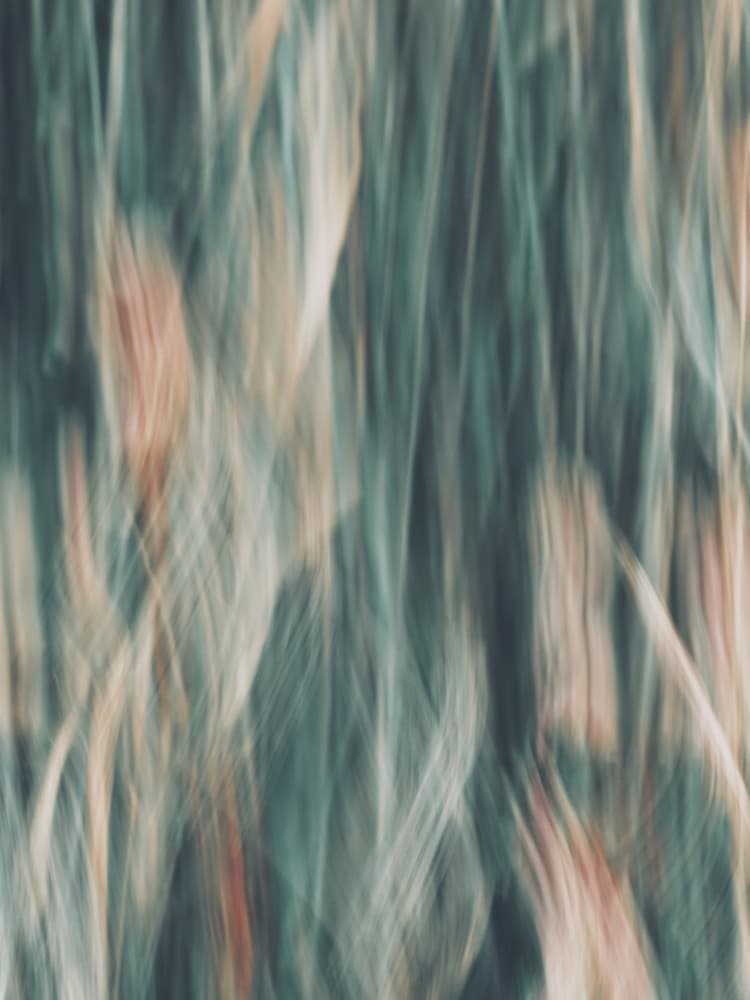 Serene Vertical Flow by Bilge Paksoylu — canvas wall art