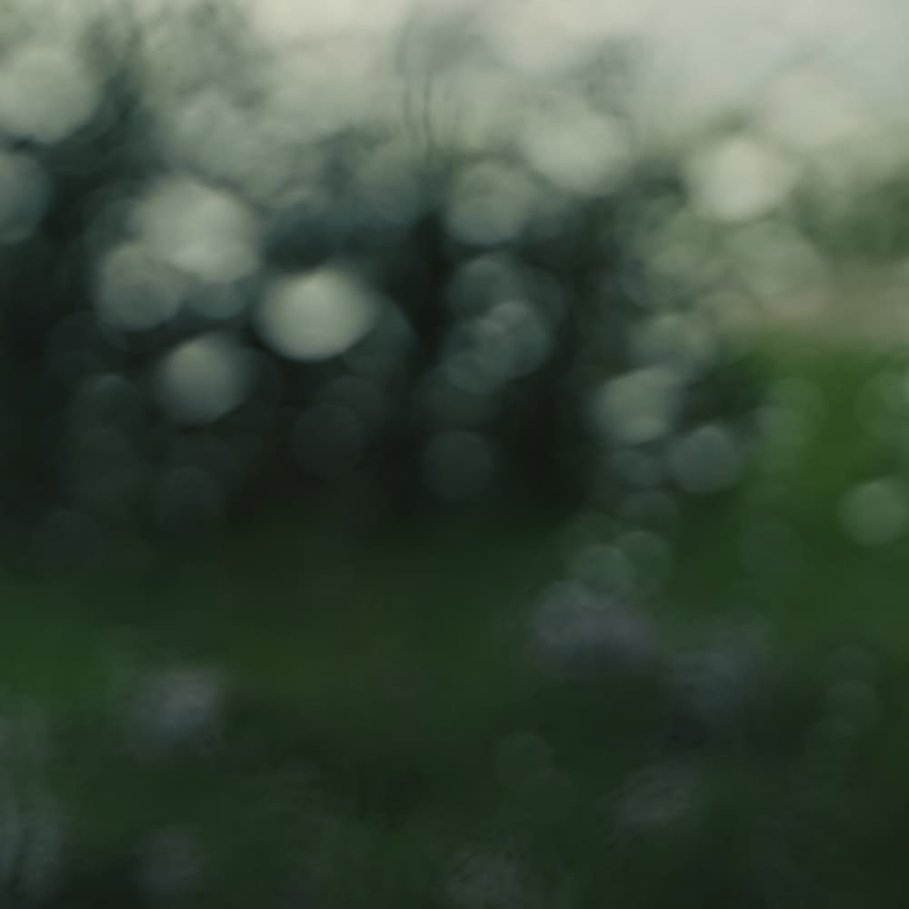 Green Bokeh Dream by Olivia Joy StClaire — canvas wall art