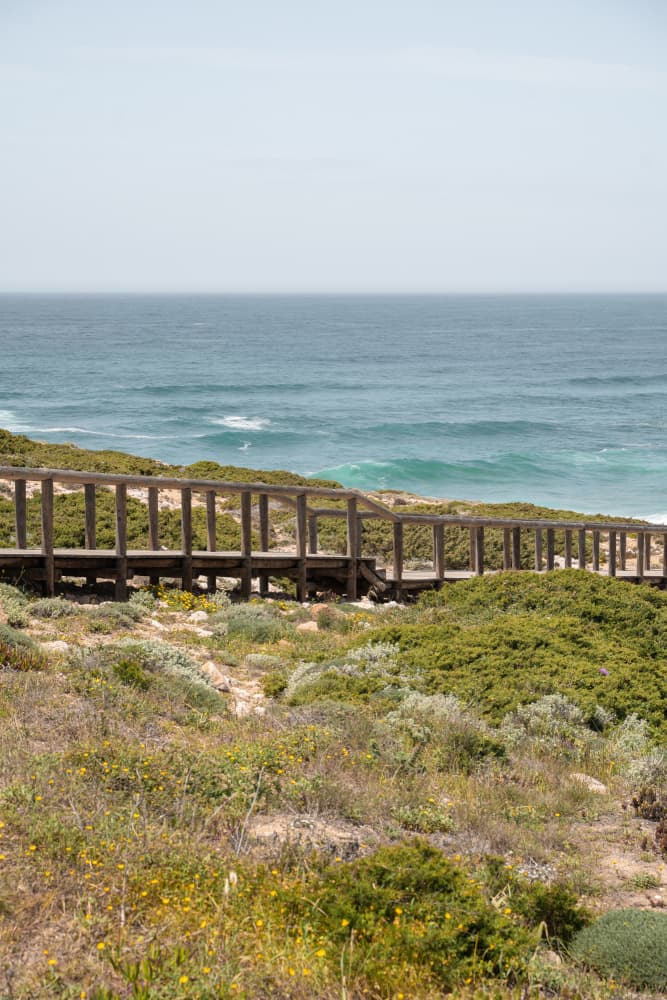 Coastal Boardwalk View by Henrike Schenk — canvas wall art