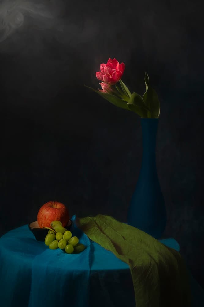 Moody Tulip Still Life by Lydia Jacobs — canvas wall art