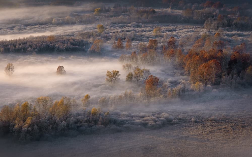 Golden Morning Mist by Fabrizio Daminelli — canvas wall art