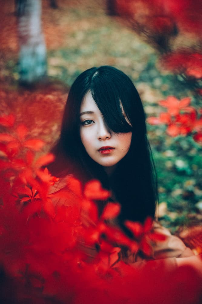 Autumn Red Gaze by Nobu Ishijima — canvas wall art