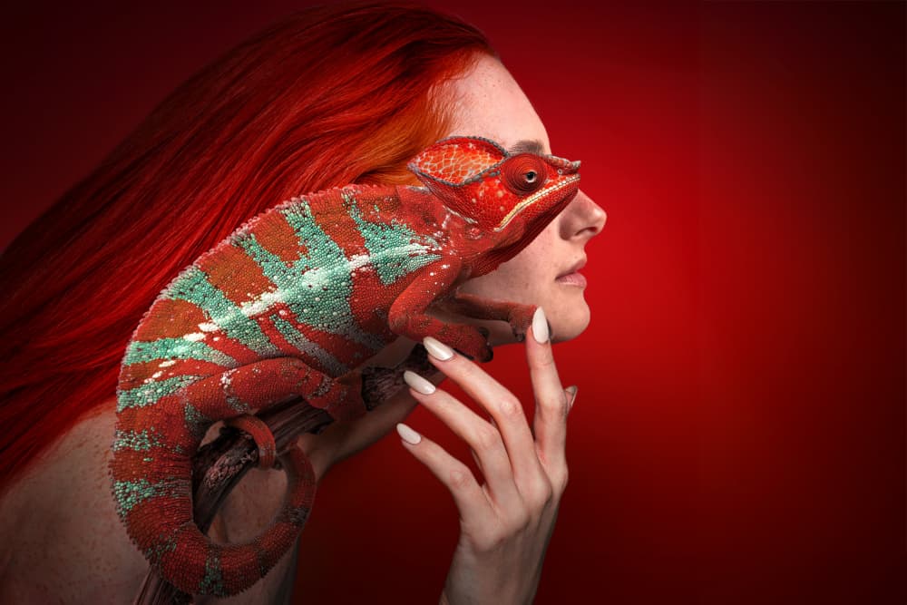 Red Chameleon Portrait by Marcel Egger — canvas wall art